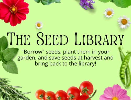 Introducing our new Seed Library!