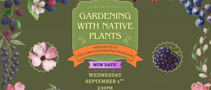 Gardening with Native Plants Program, presented on Wednesday September 2nd at 3:30pm by UNH Cooperative Extension